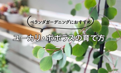 内脏脂肪减肥能减下来吗-内脏脂肪减肥网 - 为你提供内脏脂肪减肥最快、内脏脂肪减肥妙招